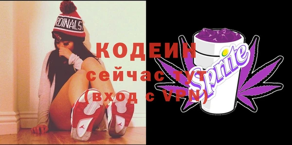 jwh Карпинск
