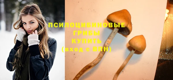 jwh Карпинск