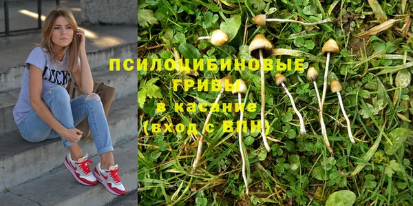 jwh Карпинск